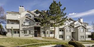 Alvista Trailside Gallery 42