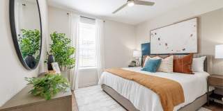 Alta Citron Gallery 61