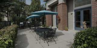 Woodlands Gallery 17