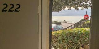 1BD/1BA LA JOLLA COTTAGE ACROSS FROM WINDANSEA! AVAILABLE JUNE FOR $2,895/mo! Gallery 3