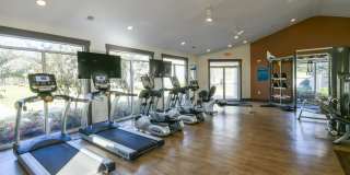 Henley at Mirror Lake Gallery 19