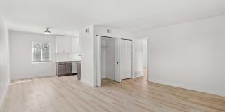 The Cadence Gallery 7