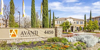 Avanti Gallery 38