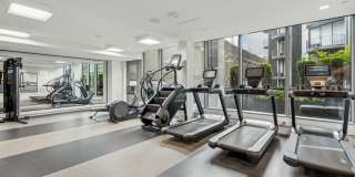 Premiere on Pine Gallery 3