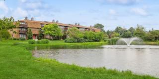 ReNew Poplar Creek Gallery 52