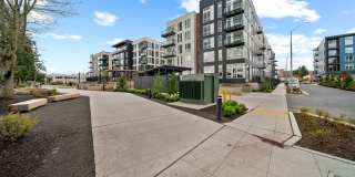 The Piper Gallery 25