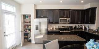 9926 NEW POINTE Drive Gallery 9