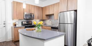 Olympus at Memorial Gallery 1