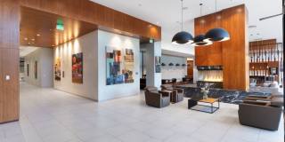24Fifty Gallery 33