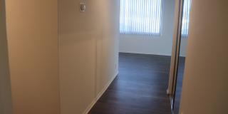 Hillside Terrace Gallery 71