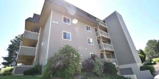 SHORT TERM RENTAL FOR SPRING 2026! 3 Bedroom, 2 Bathroom Penthouse Condo Gallery 1