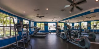The Reserve At Tranquility Lake Gallery 78