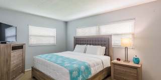 Imperial Palms Gallery 22