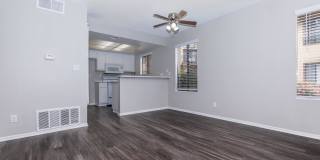 Mountain Springs Gallery 55