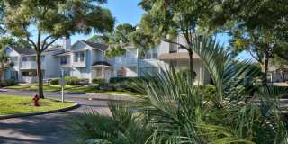 Tampa Woods Apartments Gallery 26