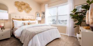 Clear Springs Gallery 6