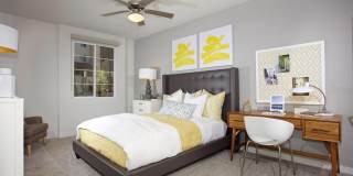 Casa Mira View Gallery 104