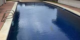 3 Bedroom 2 Bath Single Family Home with Pool Gallery 21