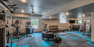 The Fields Gallery 20