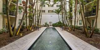 Bell Sunrise Bell Sunrise Gallery 31