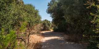 Canyon Ridge Gallery 24