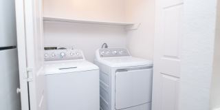 Willow Springs Gallery 50