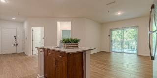 The Maddox Gallery 12