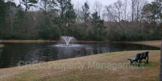 1415 Belcourt Lane Gallery 3