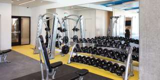 AVA Esterra Park Gallery 26