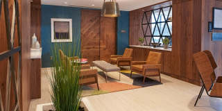 Shirlington House Gallery 16