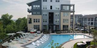 Livano Nations Gallery 2