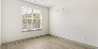 The Belle at the Lamar Gallery 50