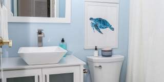12 Gull Cv Gallery 26