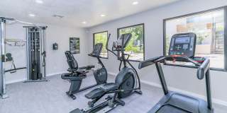 Tides on McDowell Gallery 21