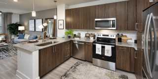 Symphony at Suwanee Creek Gallery 2