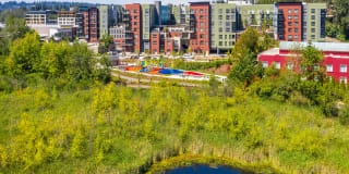 Aspect at Totem Lake Gallery 39