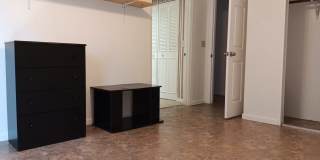 137 White St Gallery 8