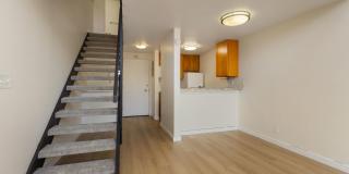 Marlene Renee Gallery 4