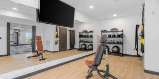 The Aurilla Gallery 41