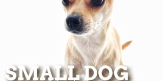 1515 South Avenue West Gallery 16