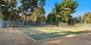 Move-In Ready 2BR | Fresh Paint | Unfurnished & Ready for Your Style Gallery 32