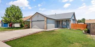 5164 Fennel Dr Gallery 3