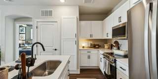 Lakeview at the Gates of Prosper Gallery 10