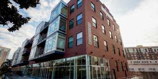 The Locks The Locks Gallery 4