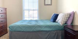 3668 Cindy Jo South - Fully Furnished Gallery 15
