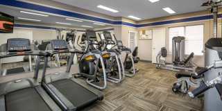 Sahara West Gallery 16