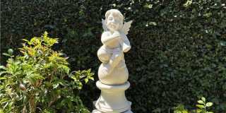 80 Cipresso Gallery 24