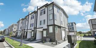 The Rowhomes Gallery 1