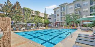 Berkeley Park Gallery 50