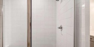 12258 SESSILE CMNS Gallery 37